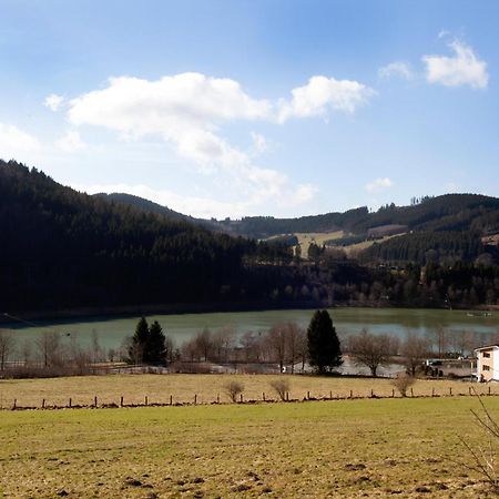 Fewo Schlossberg Niedersfeld Apartment Winterberg Luaran gambar