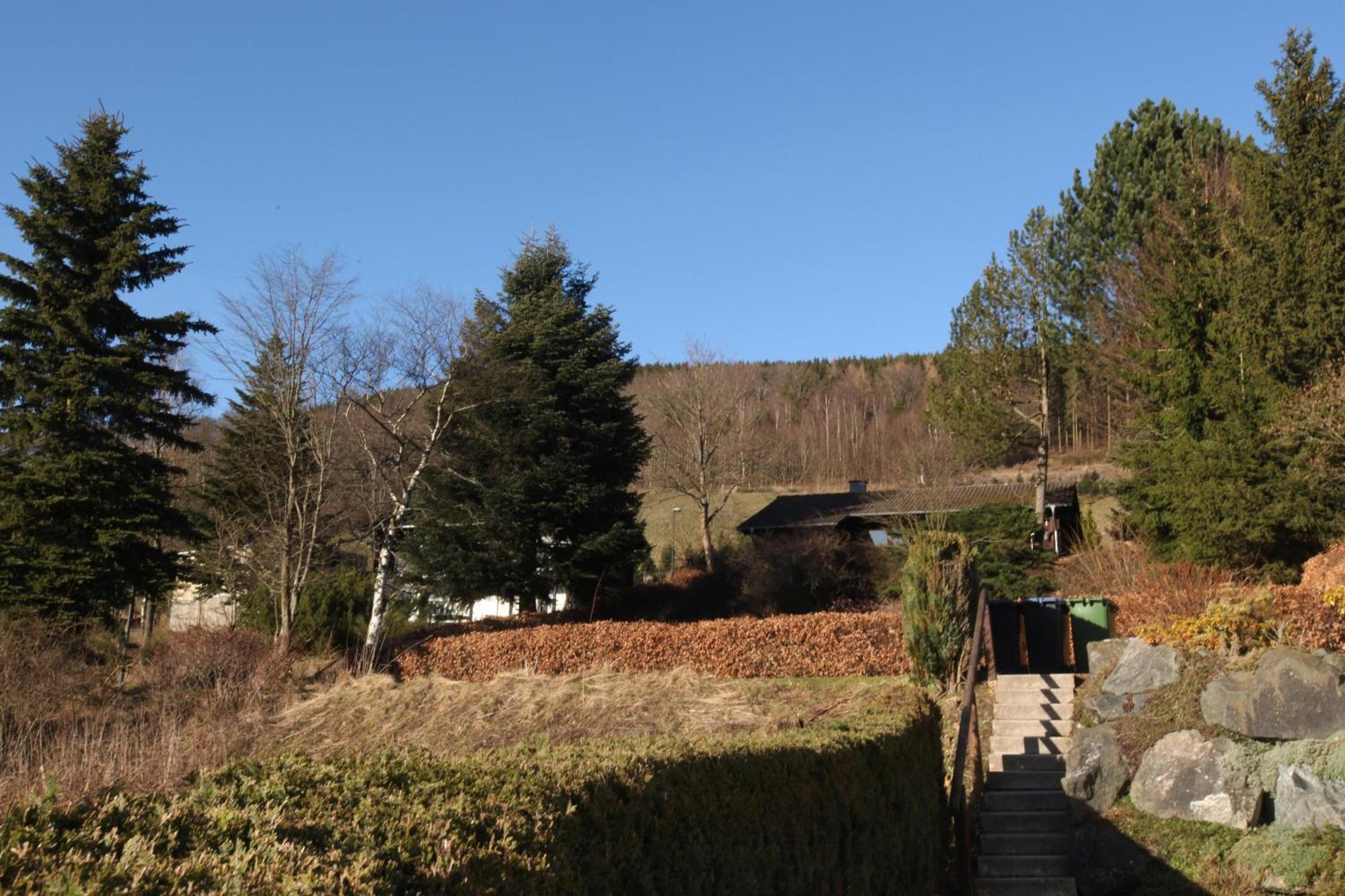 Fewo Schlossberg Niedersfeld Apartment Winterberg Luaran gambar